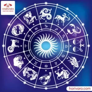 Horoscope Report – Softcopy