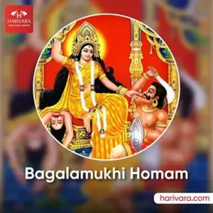 Bagalamukhi Homam