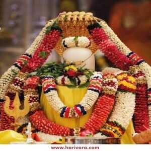 Rudrabhishek Puja