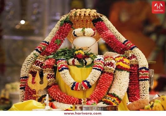 Rudrabhishek Puja
