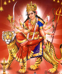 Shoolini Durga Homam